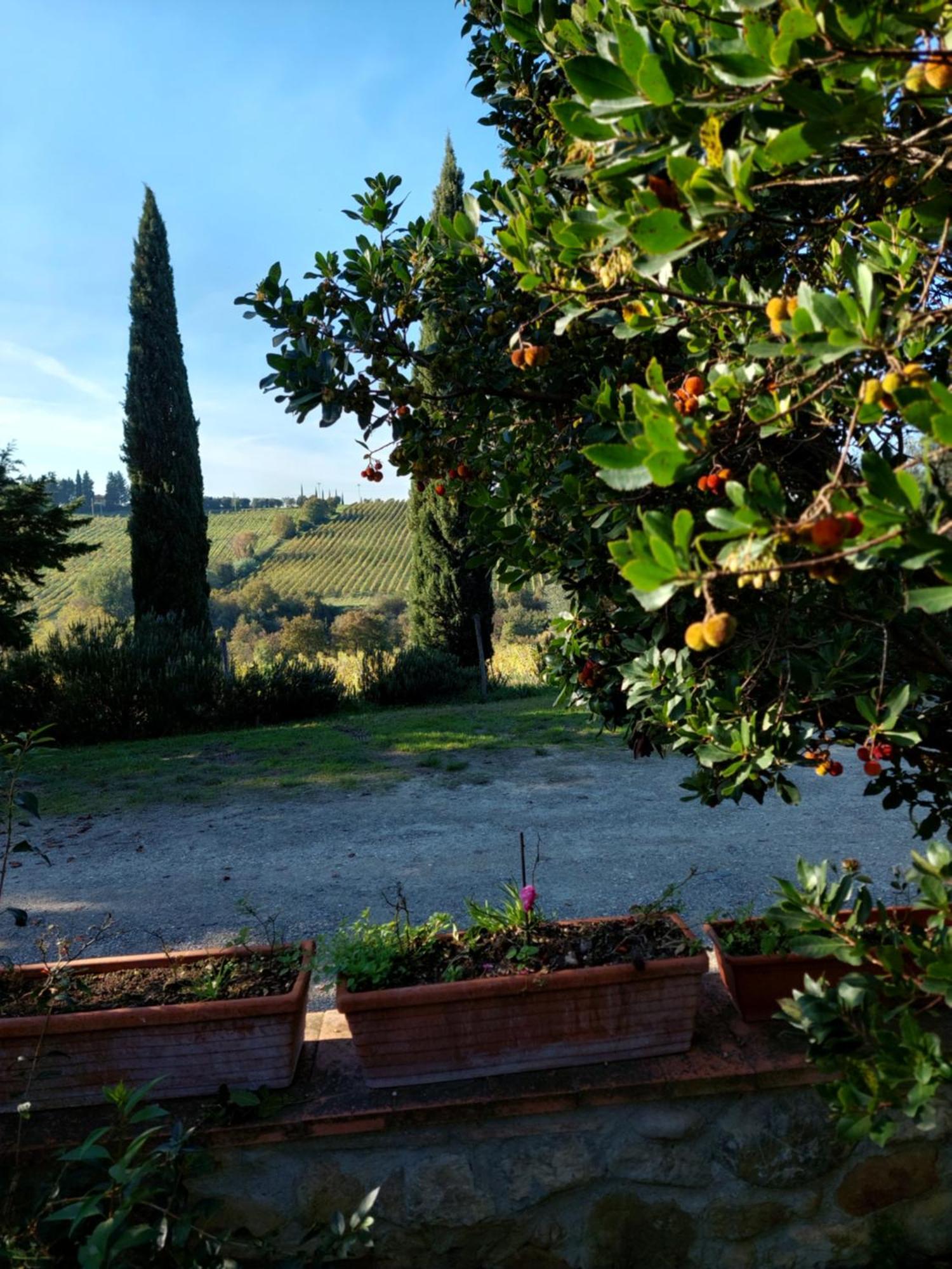 Casa Partingoli Pian dei Cerri